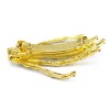 F-0106 NEW   Punk  Zombie Claws Skull Hair Clip Hairpin