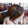 F-0143-G F-0143-S Korea Style Silver Gold Plated Link Chain Black Silk Hair band Hair Accessory