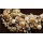 N-3840 European Style Silver Plated Pearl Crystal Leaves Handcraft Choker Necklace
