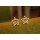 E-3158 Korea style 2 colors vinatge big five-pointed star pentagram rhinestone crystal  stud earrings