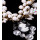 N-3966 European Style Gold Plated Thick Chain Vintage black women queen photo pendant white beads big rhinestone water Drop statement Necklace