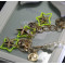 N-5057  Euroean style gold plated pearl chain  round mental coin head star neon color  statement pendant & necklace