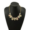 N-5079  Drop Resin Gem Clear Crystal Flower Shourouk Necklace Gold Plated Alloy