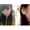E-3287  Korean fashion silver plated charming rhinestone butterfly earhook ear clip earrings