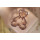 P-0150 European Gold  Plated Alloy Rhinestone Cute Bear Brooch Animal Jewelry