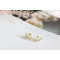 E-3547 New European Korean Fashion Popular Shell Flower Crystal Silver Plated Ear Stud  Earrings