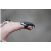 R-1265 New European Fashion  gun black  Rhinestone Punk Style Nail Rings