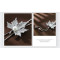 N-5864  New fashion Europen and American style charm rhinestone pearl maple leaf long pendant necklace for women jewelry