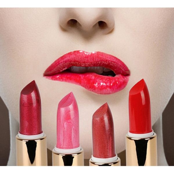 M-0010 High Quality 4 Different Colors Sexy Lipstick Waterproof Long Lasting Moisturizing Lip Beauty Lip Gloss Makeup
