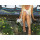 B-0765 Bohemian Vintage Silver Gold Plated Multilayer Charms Anklet Bracelets Women Foot Jewelry