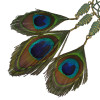 N-6831 Bohemian Retro Bronze Chain Feather Beads Tassel Long Necklace Women Jewelry