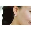 2 Style flower crystal tassel stud dangle earrings For Women Charm Party gift