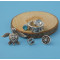 E-4377 6Pcs/set Tortoise Shape Silver Metal Rhinestone Stud Earrings for Women Bohemian Party Fashion Accessories