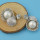 E-4380 Fashion New Arrival Shell Pearl Crystal Charm Sea Earring for Women Jewelry