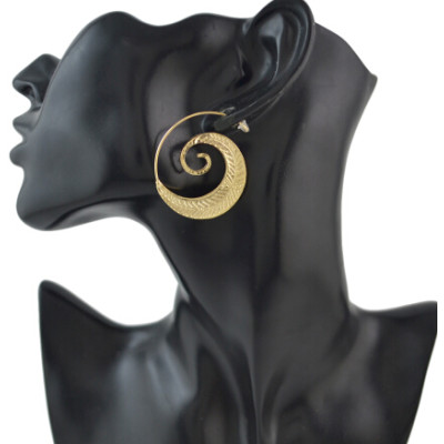 2 Color New Fashion Gold Silver Hook Earrings Hoop Drop Stud Earring Jewelry