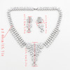 N-7048 Elegant 3A Zircon Bride Weeding Party Necklace Earring Jewelry Set