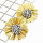 E-4726 2 Colors Floral Shape Crystal Fashion Ear Studs Earrings for Women