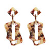 E-4994 4 Colors Acrylic Amber Pattern Earrings For Women