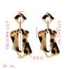 E-4994 4 Colors Acrylic Amber Pattern Earrings For Women