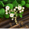 P-0423  Korean Women Fashion Cute Delicate Pearl  Gold Sprig Shaped  Flower Brooches Pin Scarf  Sweater Accessory