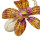 E-5298 Fashion Summer Sea Style Natural Shell Big Flower Pendant Earrings for Women's Jewelry Design