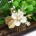 F-0572 * 2020 New Trendy Gold Color Leaf Hair Comb Bridal Headwear Insert Comb Accessories