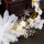 F-0751 Korean handmade silk yarn hair band white hay starry hair hoop headdress bridal dress accessories bridal jewelry