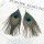E-5773 Bohemian Retro Ethnic Wind Peacock Feather Long Earrings Fashion Tassel Female Gift jewelry