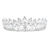F-0870 Luxury Leaf Flower Crystal Tiaras Bridal Queen Princess Crown Wedding Party Hair Accessories
