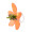 orange%252520ring
