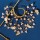E-6496 Bridal Earrings Wedding Dresses Ins Style Crystal Beads Shell Ear Clips Elf Earrings Handmade Earcuff