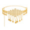 N-7863 COIN TASSEL RHINESTONE HOLLOW CARVED DRESS BODY CHAIN DANCING BELLY CHAIN BOHO ETHNIC WAIST CHAINS FOR WOMEN GIRLS