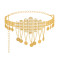 N-7863 COIN TASSEL RHINESTONE HOLLOW CARVED DRESS BODY CHAIN DANCING BELLY CHAIN BOHO ETHNIC WAIST CHAINS FOR WOMEN GIRLS