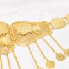 N-8098 Gold Long Chain Coin Tassel Pendant Waist Belly Chains Hollow Rose Patterned Metal Waistband Body Jewelry