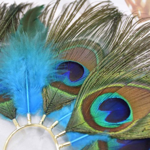 E-6595 Peacock Feathers Women Ear Cuff Exaggerated Indian Ethnic Aolly Statement Clips Earrings