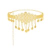 N-8118 Gold Hollow Flower Coin Waist Belly Chain Belt