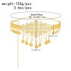 N-8117 Carved Butterfly Women Body Jewelry Coins Tassel Charms Waist Chains