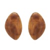 E-6651 White Brown Geometric Acrylic Stud Earrings for Women