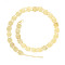N-7761 Indian Gold Silver Coin Tassel Belly Dance Waist Chains Carved Flower Party Body Jewelry
