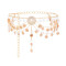 N-8486 New European and American sexy body accessories body chain coin flower water droplet multi-layer tassel waist chain for women