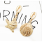 E-5366  Fashion Marine Style Starfish Sea Shell Summer Earrings Female Wedding Party Jewelry