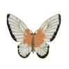 P-0440 Fashion Alloy Butterfly Brooch for Women Girl Dress Set Summer Party Accessories