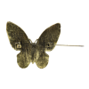 P-0440 Fashion Alloy Butterfly Brooch for Women Girl Dress Set Summer Party Accessories
