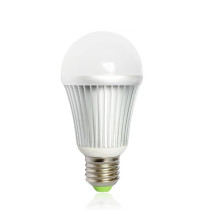 7W LED G60 Bulb