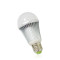 10W LED G65 Bulb