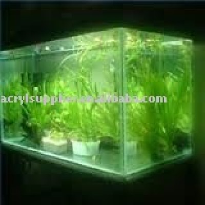 acylic aquarium