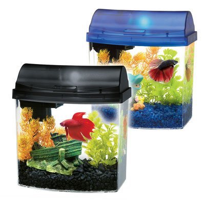 mini acylic aquarium