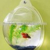 acrylic hanging fish tank