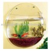 clear acrylic mini fish tank