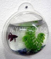 Acrylic Mini (organic) aquarium